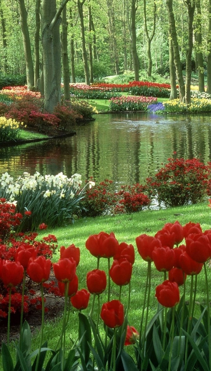 Весна - оригинал