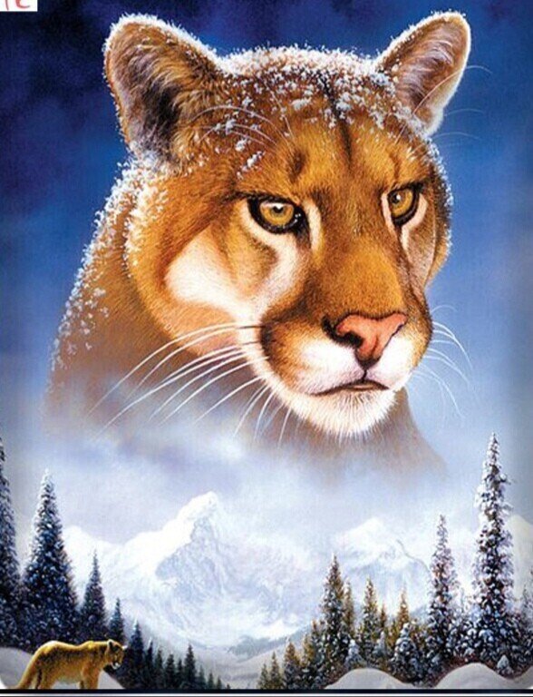 Пума - киса - оригинал