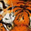 Предпросмотр схемы вышивки «Тигр» (№2513610)