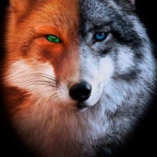 Схема вышивки «№2513802»