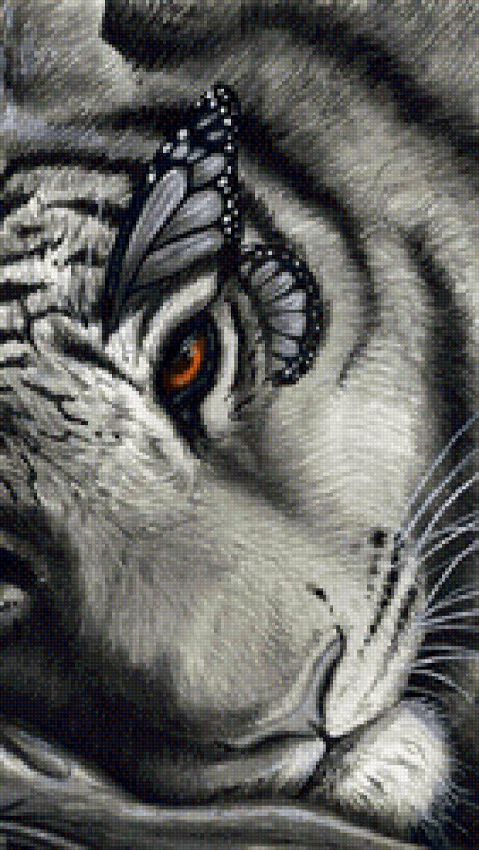 Тигруня - животное, тигр - предпросмотр