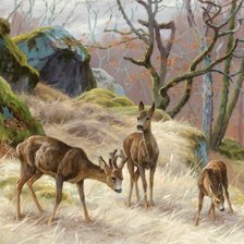 Схема вышивки «№2514311»