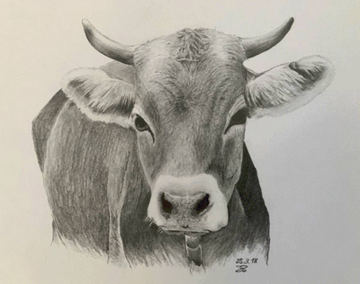 №2514316 - предпросмотр