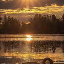 Схема вышивки «№2514319»