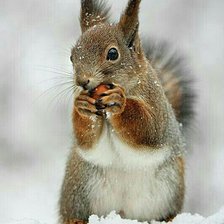 Схема вышивки «№2514435»