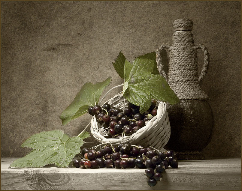 Черная смородина - кувшин, натюрморт, смородина - оригинал