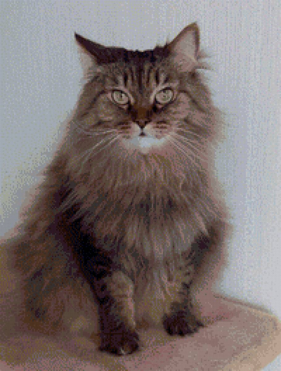 Кот Гоша - кот - предпросмотр