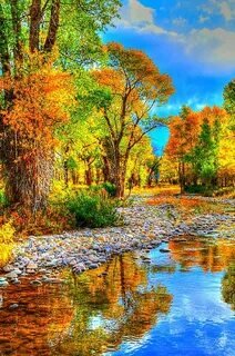 Пейзаж. - осень., река, пейзаж - оригинал