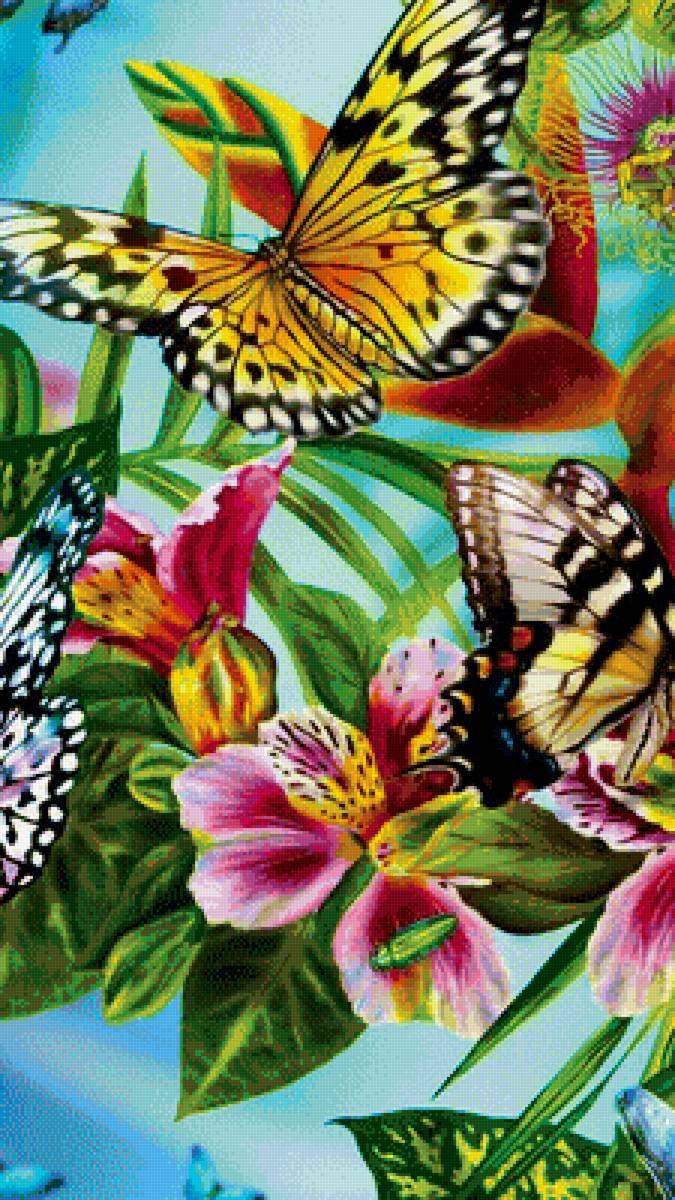 Бабочки. - бабочки, цветы. - предпросмотр