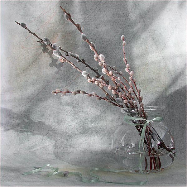 Верба - весна, верба, натюрморт, букет - оригинал