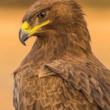 Схема вышивки «№2514924»