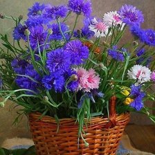 Схема вышивки «№2514981»