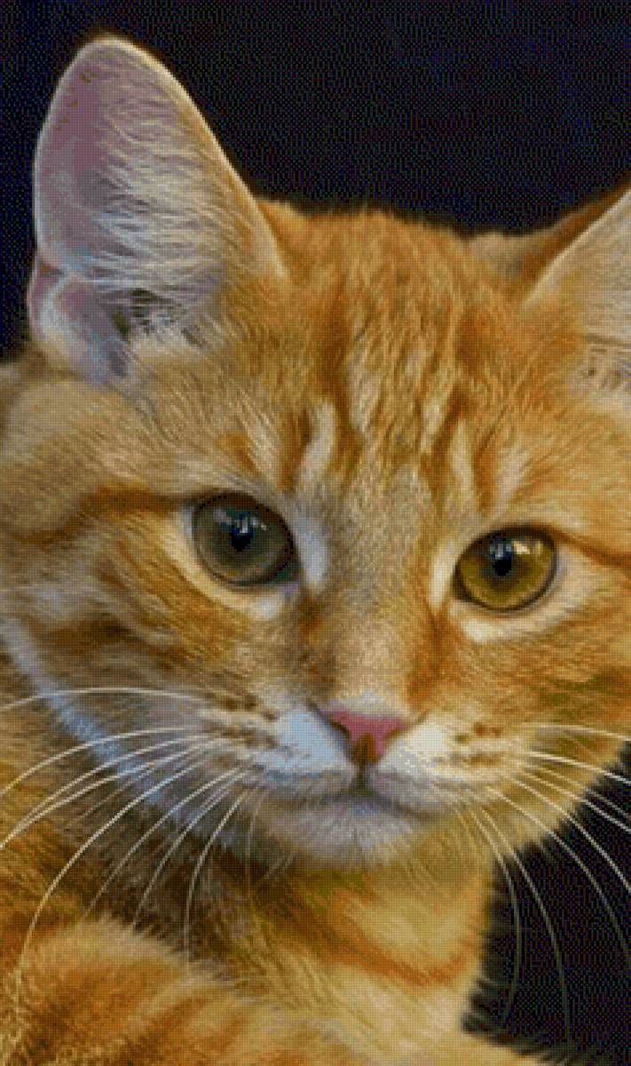 №2515064 - предпросмотр