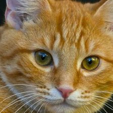 Схема вышивки «№2515064»