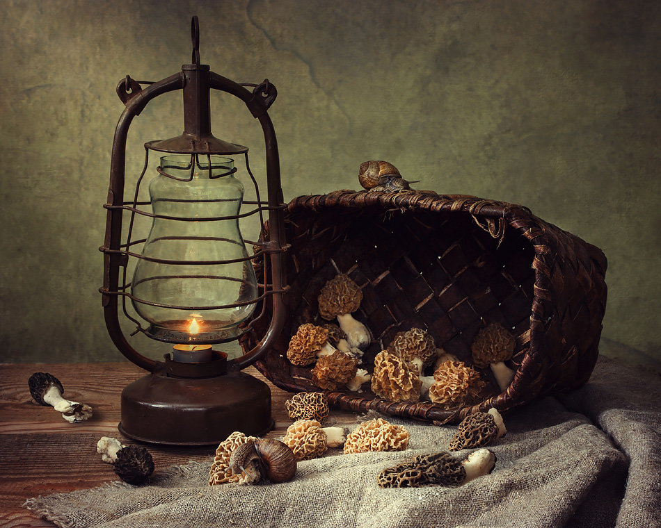 Сморчки - натюрморт, корзина, грибы, улитка - оригинал