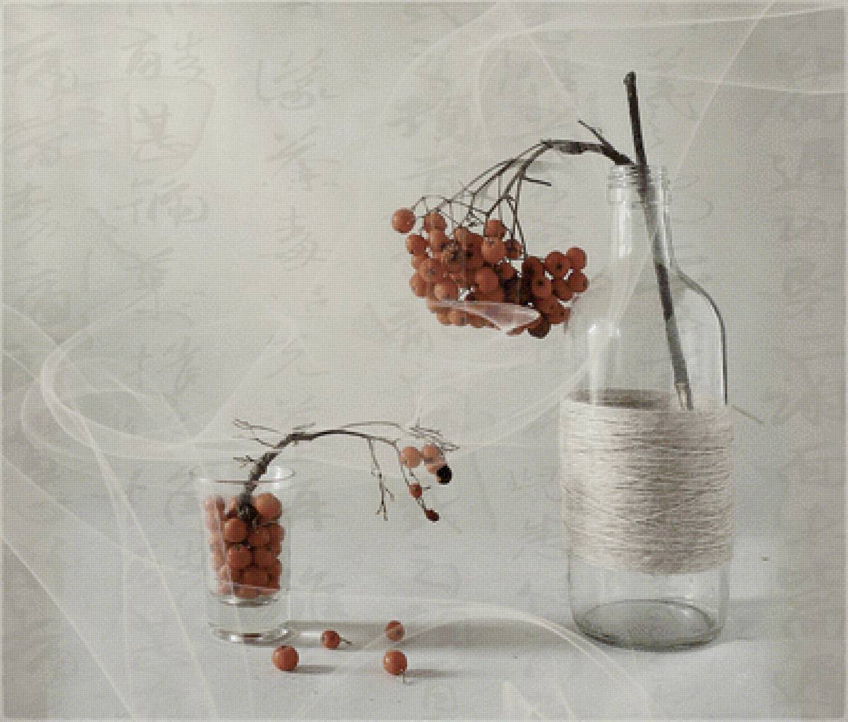 Рябина - натюрморт, ягоды, рябина - предпросмотр