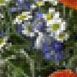Предпросмотр схемы вышивки «Букет» (№2515254)