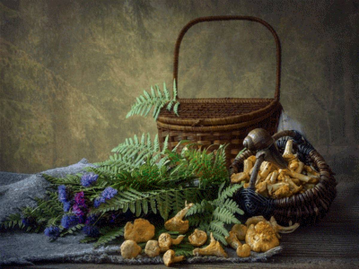 Дары лета - грибы, корзина, улитка, васильки, натюрморт - предпросмотр