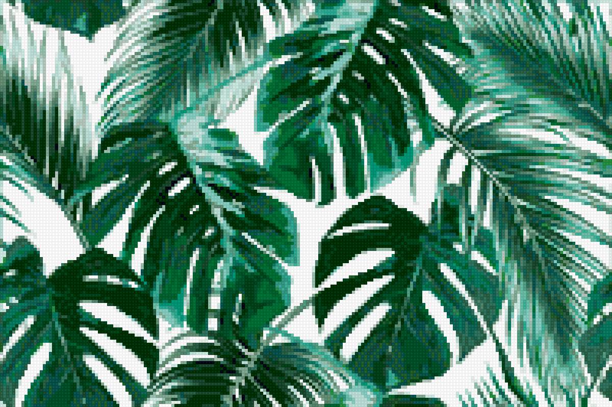 Тропические листья - тропические листья, монстера, папоротник, зеленый - предпросмотр