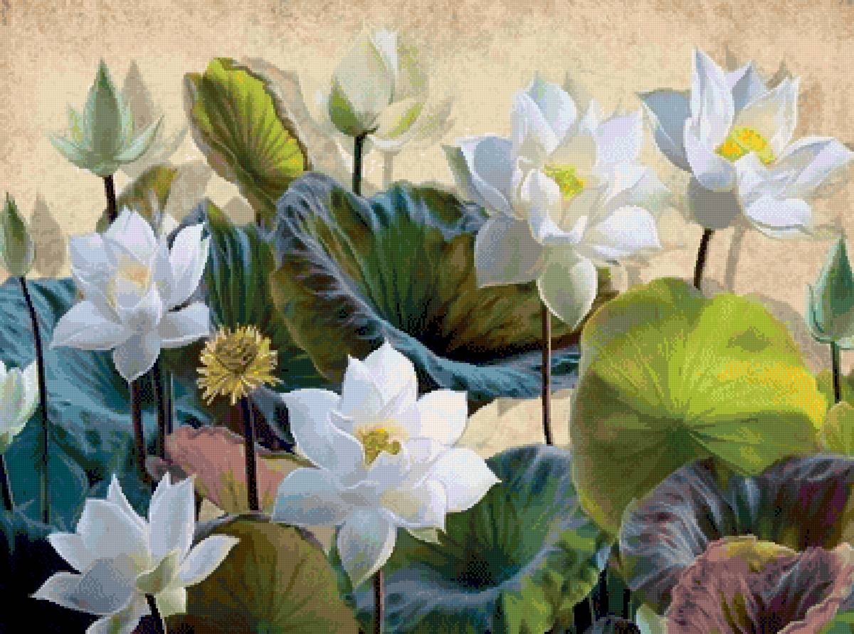 Sen - предпросмотр