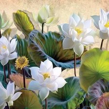 Схема вышивки «Sen»