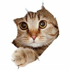 Схема вышивки «№2515460»