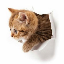 Схема вышивки «№2515462»