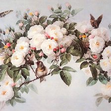 Схема вышивки «Розы»