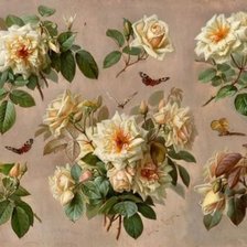 Схема вышивки «Розы»