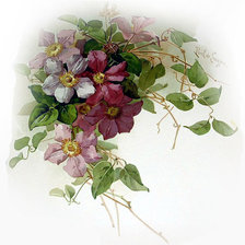 Схема вышивки «Цветы»