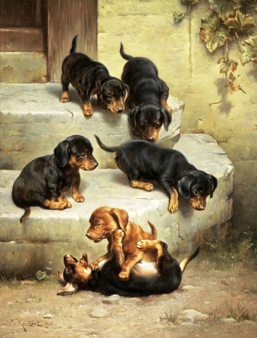 №2515690 - таксы - оригинал