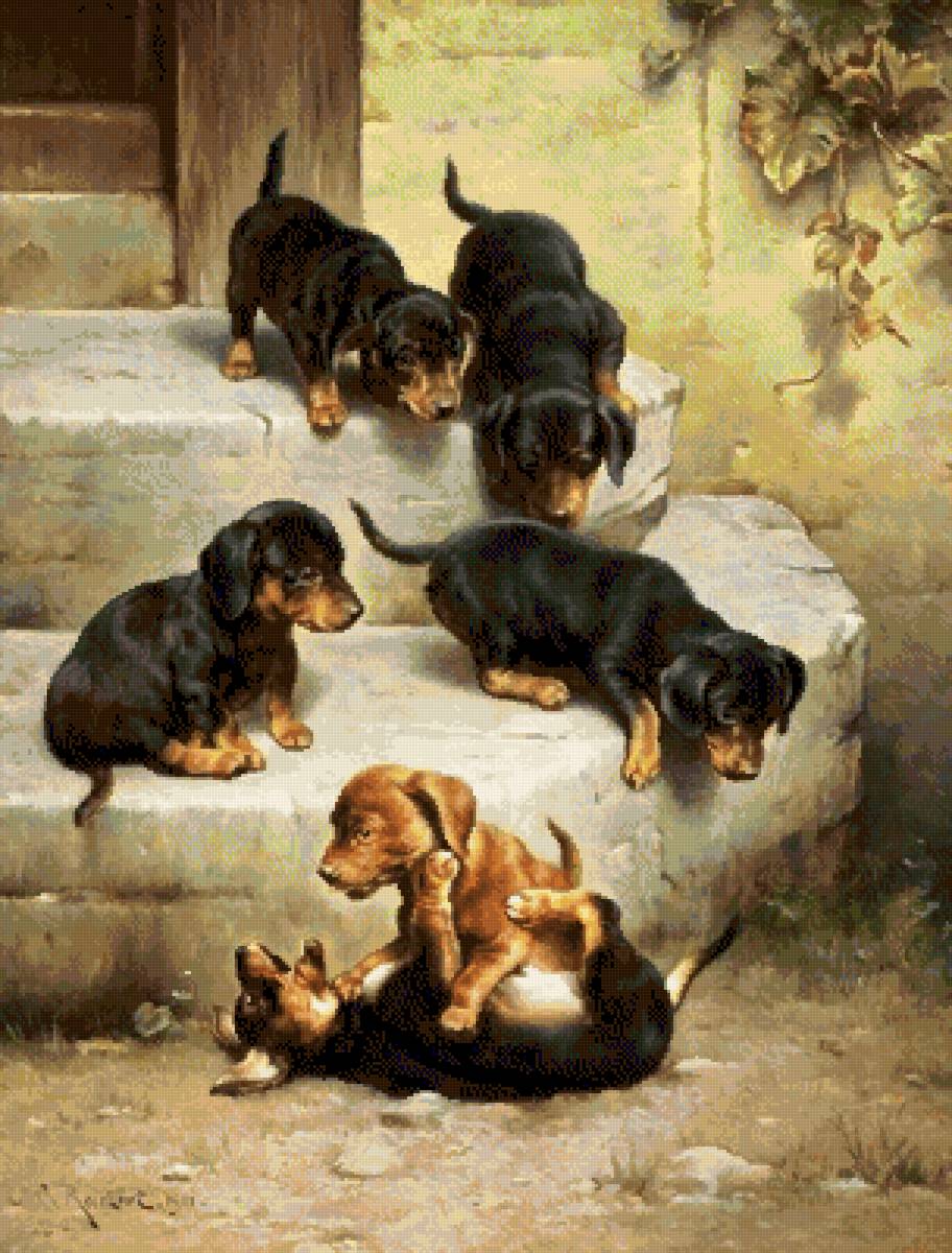 №2515690 - таксы - предпросмотр