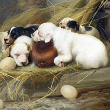 Схема вышивки «Таксы»