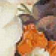 Предпросмотр схемы вышивки «Франц Ксавер Петтер. Натюрморт» (№2515871)