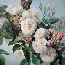 Схема вышивки «Розы»