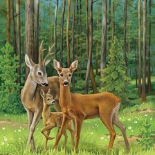 Схема вышивки «№2516079»