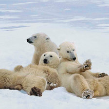 Схема вышивки «мишки»