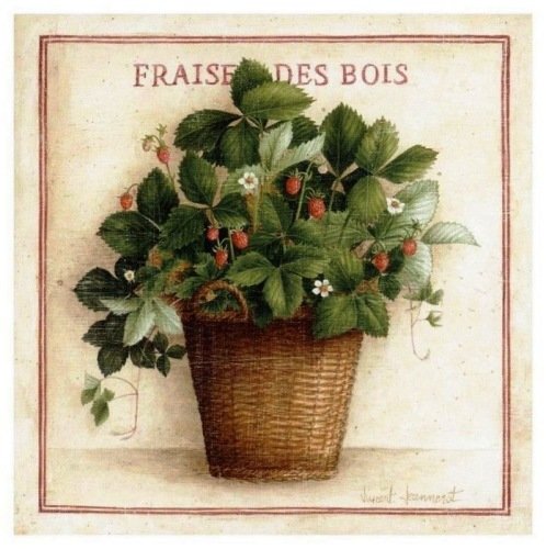 Земляника - земляника - оригинал
