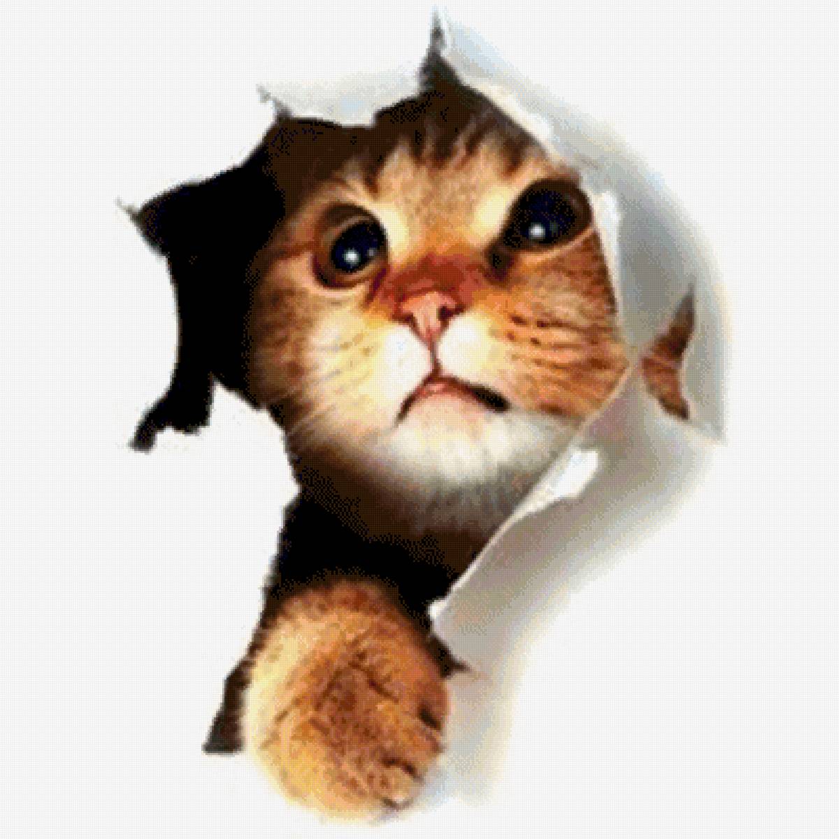 №2516722 - предпросмотр