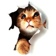 Схема вышивки «№2516722»