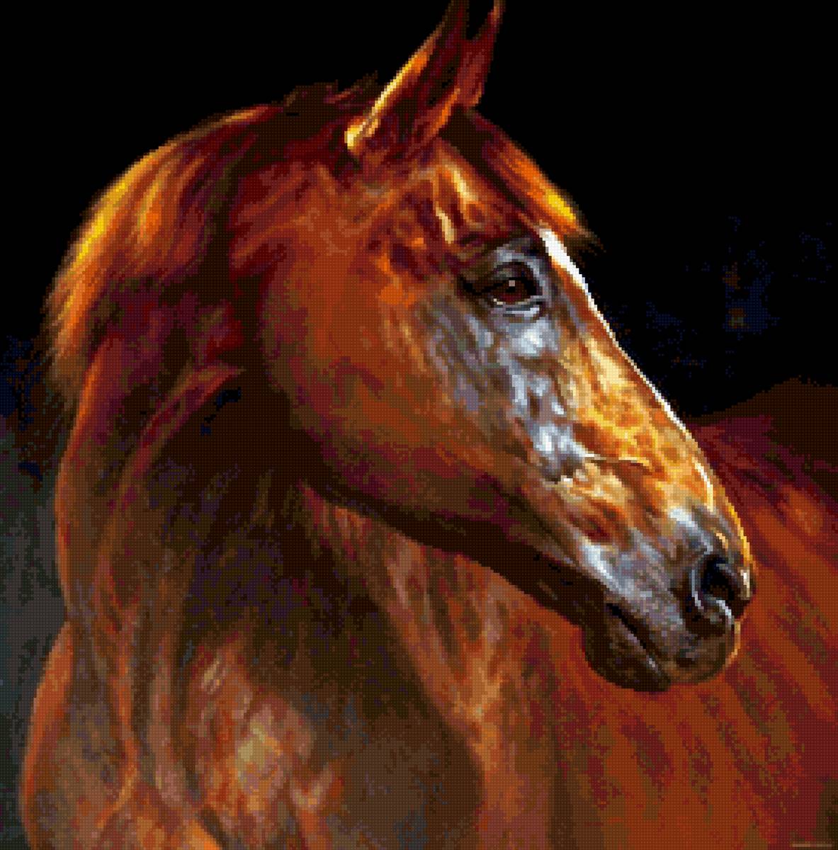 рыжий конь - лошади - предпросмотр