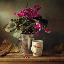 Схема вышивки «Цикламен»