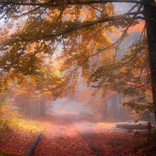 Схема вышивки «№2517286»