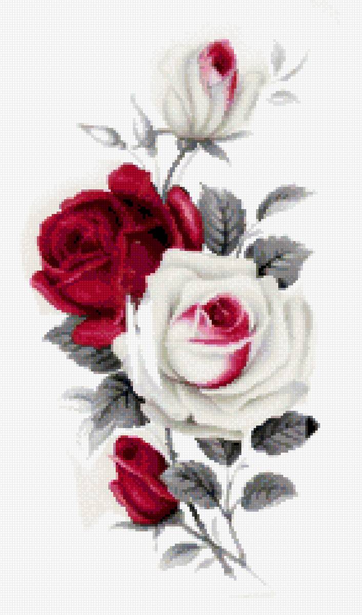 Роза в красном - роза, цветы - предпросмотр