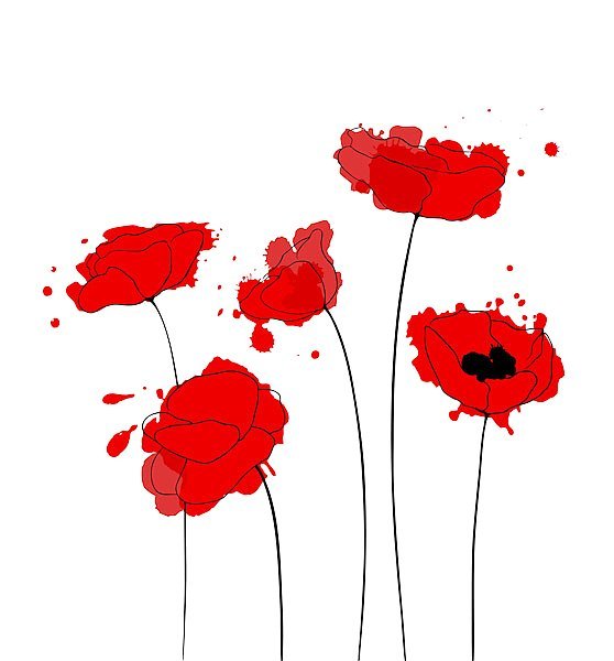 Маки - цветы, мак - оригинал