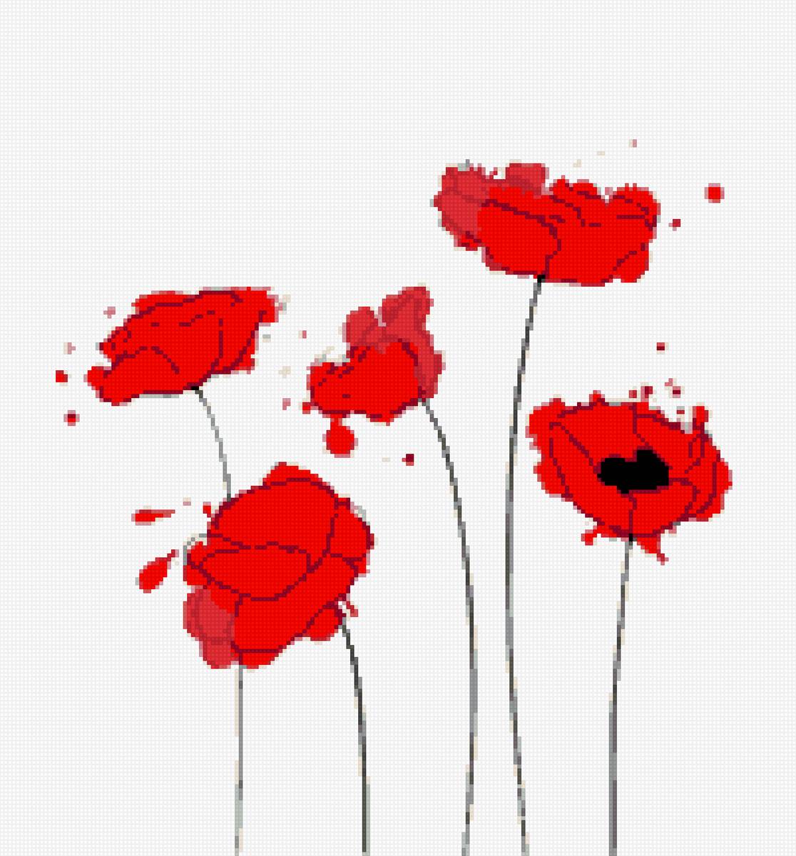 Маки - цветы, мак - предпросмотр