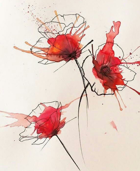 Маки - цветы, мак - оригинал