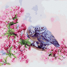 Схема вышивки «Совы»