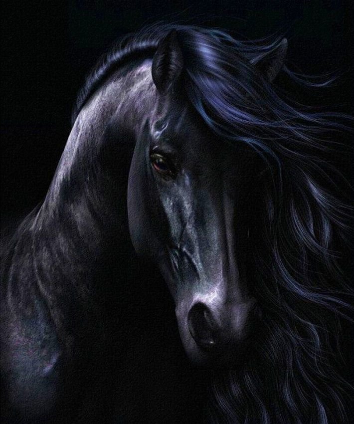 Лошадь - оригинал