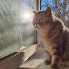 Схема вышивки «Вегас»